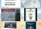 Finansye & Legal
