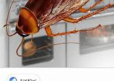 Cleaning & Janitorial Supplies