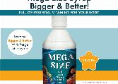 Vitamins & Lifestyle Supplements