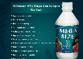 Vitamins & Lifestyle Supplements