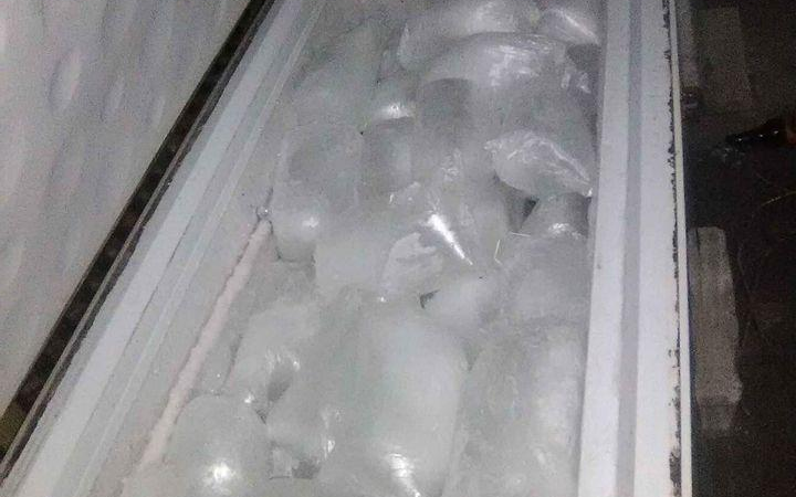 Frizè